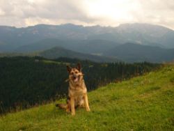 2013-06-30_Regina-F-Rau_Schnait-Zwiesel (150).JPG